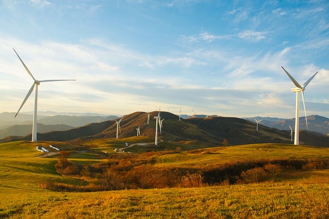 Impact des nouvelles politiques environnementales sur l'économie mondiale