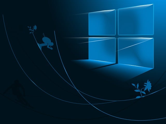 l'évolution des systèmes d'exploitation : du DOS à windows 11