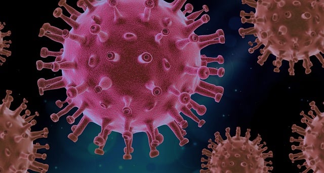L'impact du coronavirus sur l'économie mondiale